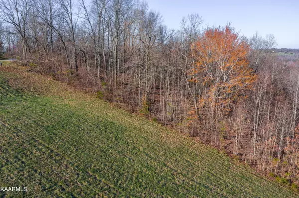 New Tazewell, TN 37825,Flagstone LOOP