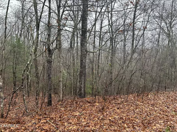 Woodland Tr, Sunbright, TN 37872