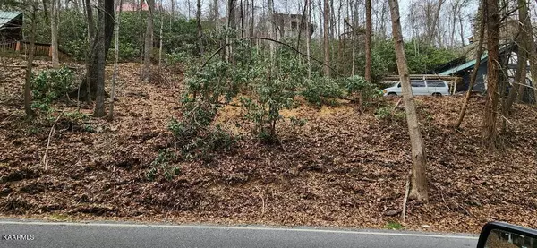 Gatlinburg, TN 37738,Lot 45 Ski Mountain Rd