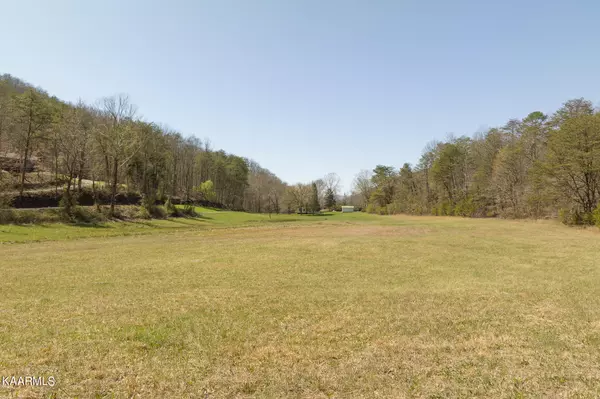 Rutledge, TN 37861,Plat 9 Firetower Rd