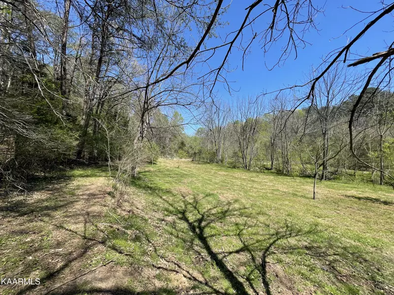 72a Reagan Valley Rd, Tellico Plains, TN 37385