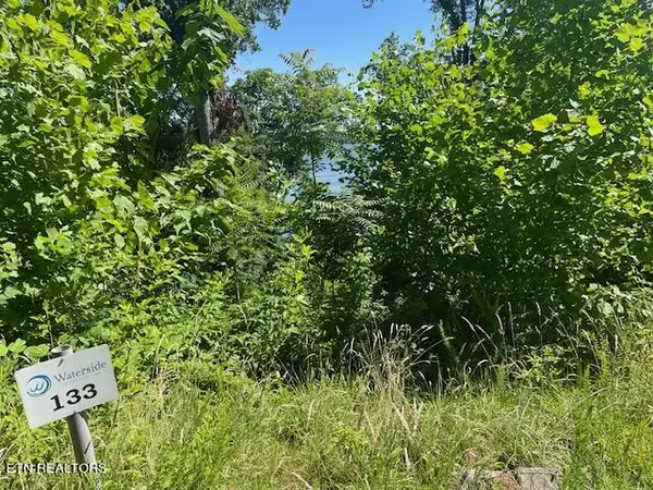 Dandridge, TN 37725,Lot 133 Point DR