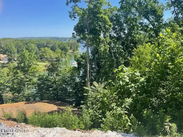 Dandridge, TN 37725,Lot 133 Point DR