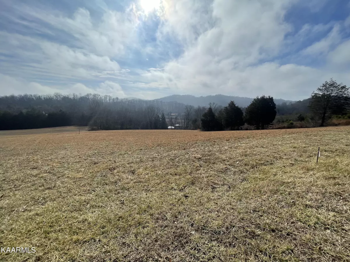 New Market, TN 37820,Lot 19 Pinto Ridge Drive