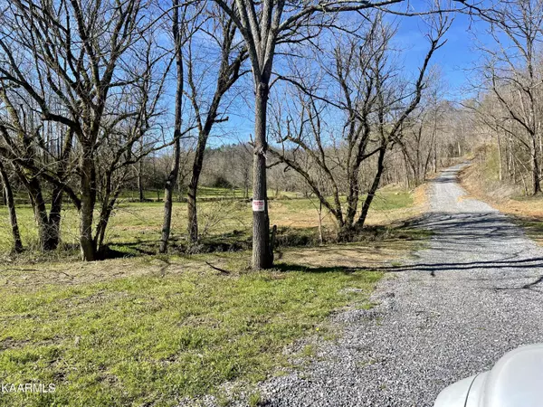 Cosby, TN 37722,Lot 3R-1 Pleasant Valley Rd