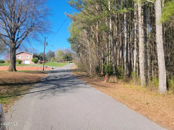 Spring City, TN 37381,Lot 12 Hillcrest Drive