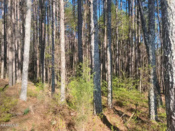 Spring City, TN 37381,Lot 12 Hillcrest Drive