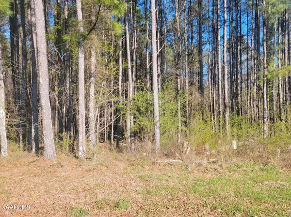 Spring City, TN 37381,Lot 12 Hillcrest Drive