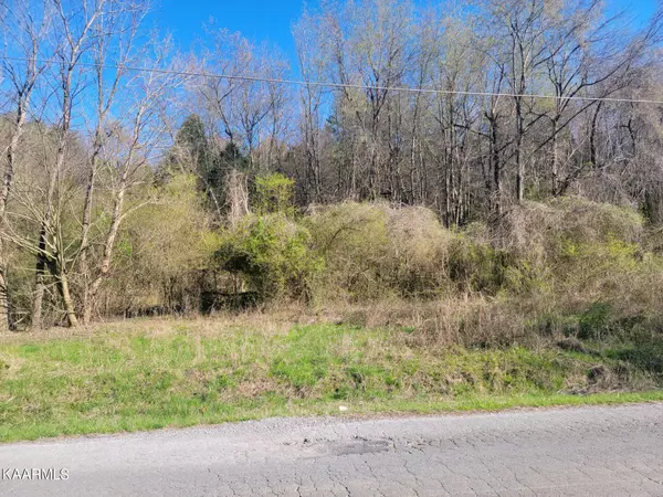 Spring City, TN 37381,lot 2 Hinch St & Moon Circle