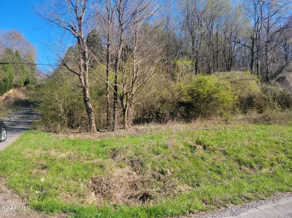 lot 2 Hinch St & Moon Circle, Spring City, TN 37381