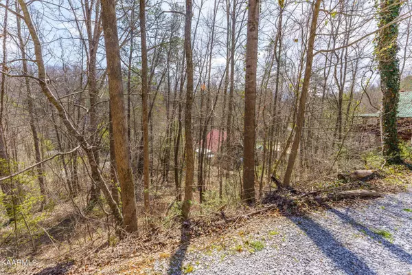 Gatlinburg, TN 37738,Lot 10 Lake DR