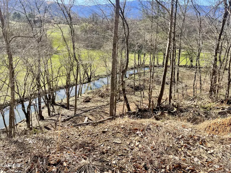 Lot 3R-2 Pleasant Valley Rd, Cosby, TN 37722