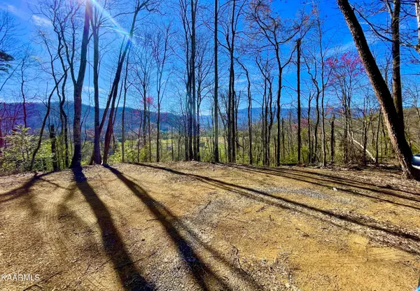 Lot 3R-4 Pleasant Valley Rd,  Cosby,  TN 37722