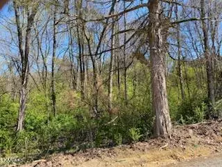 Raper Rd, Madisonville, TN 37354