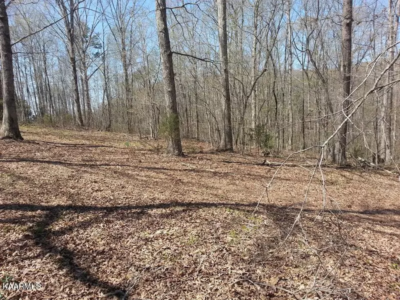 Lot 1 Bill West DR, Ten Mile, TN 37880