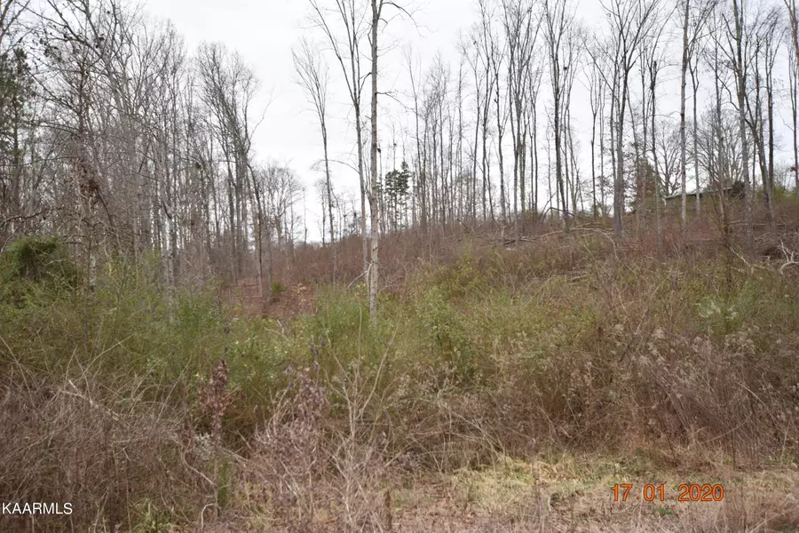 Lot 3 Maple Grove Rd, Ten Mile, TN 37880