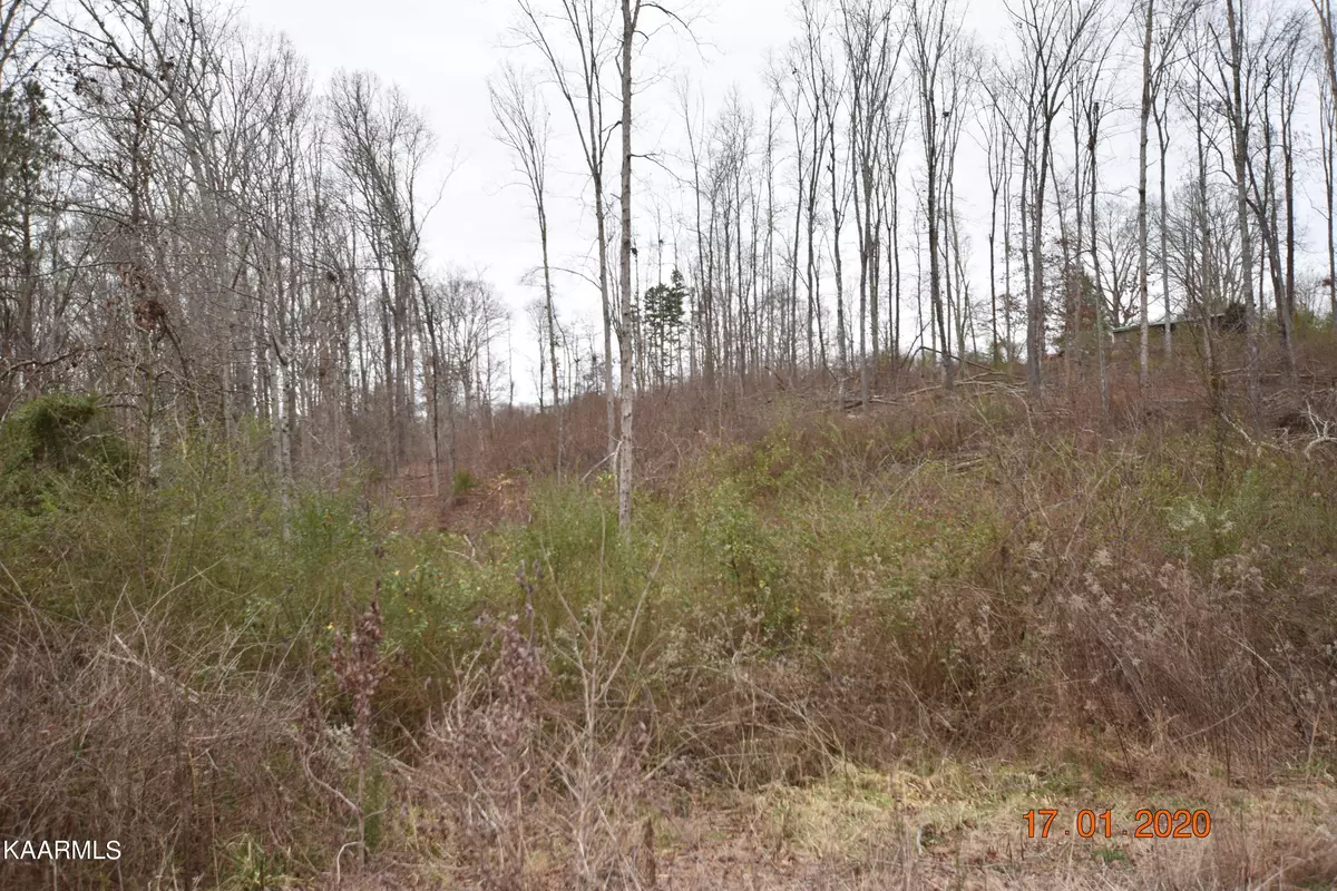 Ten Mile, TN 37880,Lot 3 Maple Grove Rd