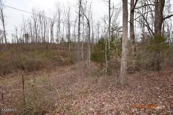 Lot 4 Maple Grove Rd, Ten Mile, TN 37880