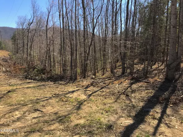 Tellico Plains, TN 37385,460 Smithfield Rd