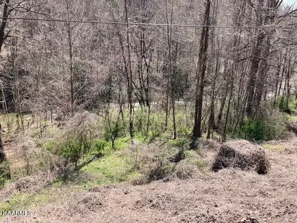 1Acre Habersham Rd, Duff, TN 37729