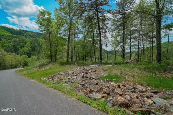 Sevierville, TN 37876,Lot 1 & 2 Mountain Ash Way