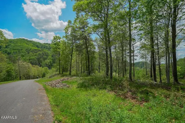 Sevierville, TN 37876,Lot 1 & 2 Mountain Ash Way