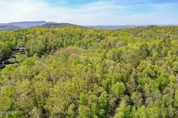 Lot 3 & 4 Flat Branch Rd,  Sevierville,  TN 37876