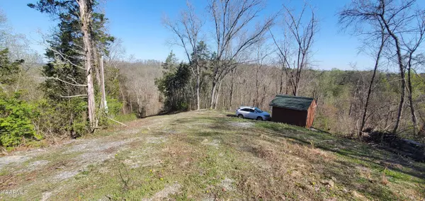 Walland, TN 37886,331 Chestnut Ridge Rd