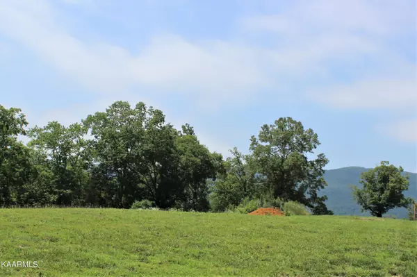 Speedwell, TN 37870,Wagon  Lane  Lot 10