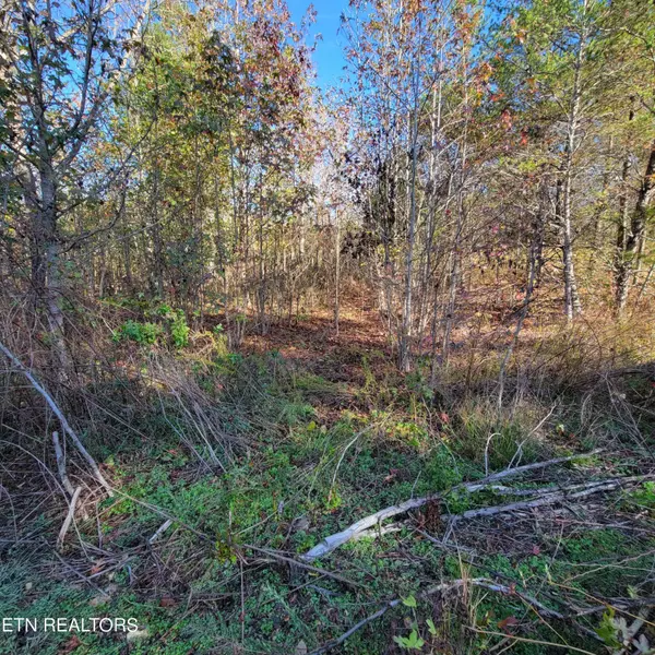 Harriman, TN 37748,201 Burr Oak LN