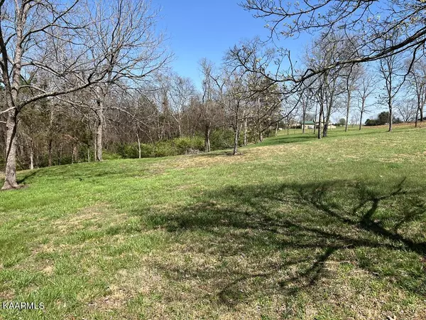 lot 31 SULLIVAN PT,  Dandridge,  TN 37725