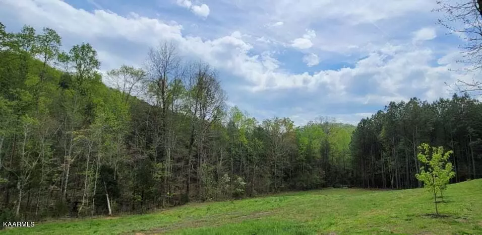 266 Payne LOOP, Tellico Plains, TN 37385