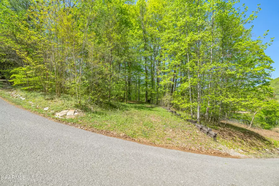 Lot 51 S Shorewood LN, Caryville, TN 37714