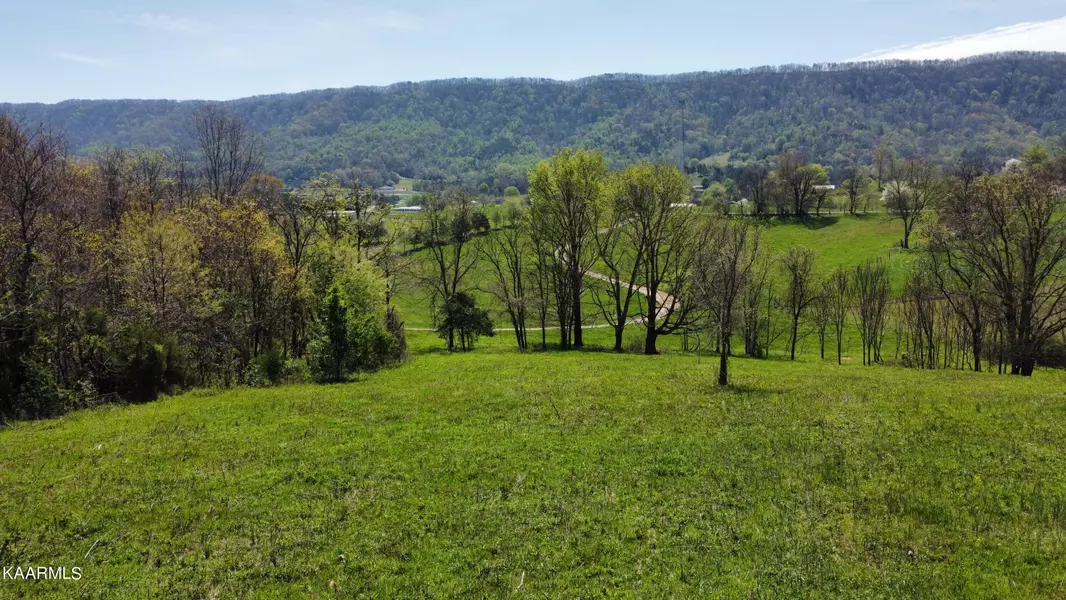 Tract C 12 Acres off Shirley Road, Washburn, TN 37888