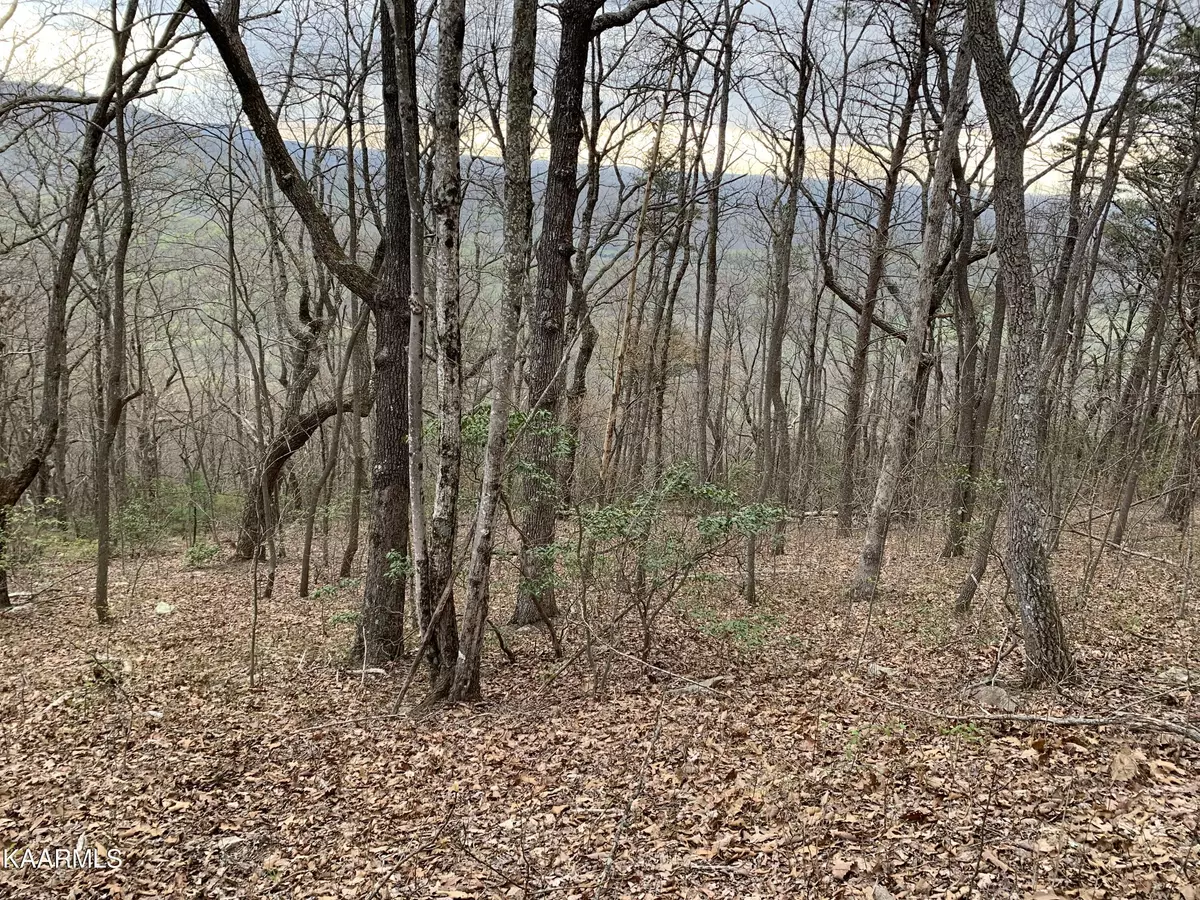 Crab Orchard, TN 37723,Lot 238 Renegade Mountain Pkwy