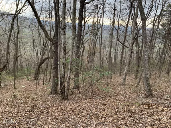 Lot 238 Renegade Mountain Pkwy, Crab Orchard, TN 37723