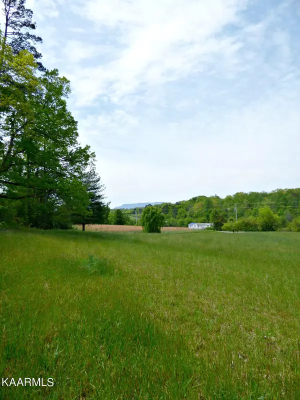 Newport, TN 37821,Lot 58 Camellia Rd