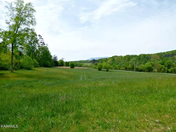 Newport, TN 37821,Lot 58 Camellia Rd