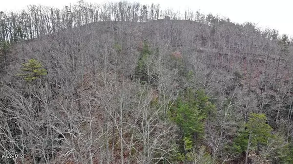 Sevierville, TN 37876,Lot 34 Mountain Trl LN