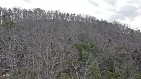 Sevierville, TN 37876,Lot 34 Mountain Trl LN