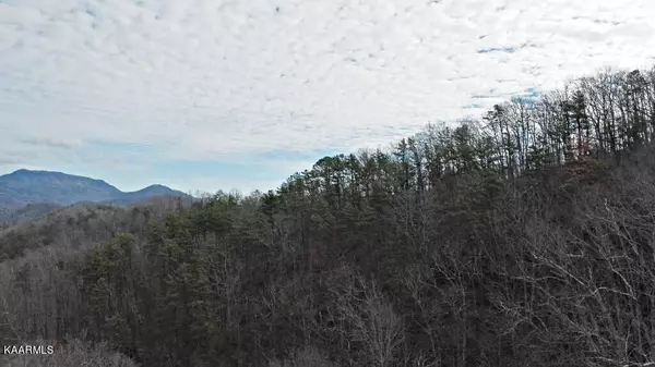 Sevierville, TN 37876,Lot 34 Mountain Trl LN