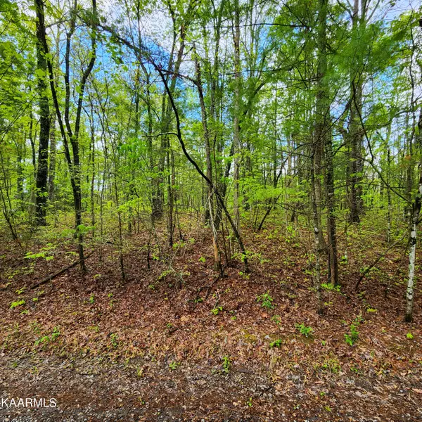 Nugget LN, Tallassee, TN 37878