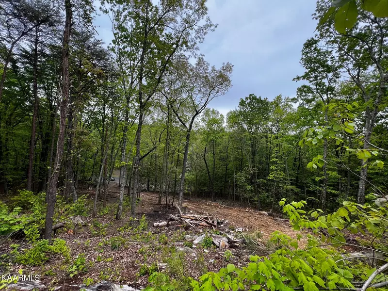 Lot 24 Escape DR, Evensville, TN 37332