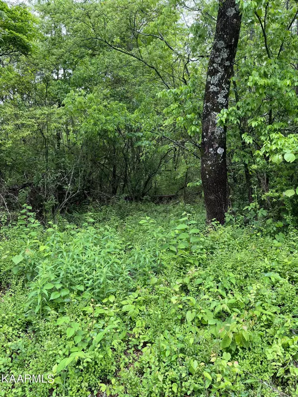 Dayton, TN 37321,Lot 41 Black Oak Estates Rd