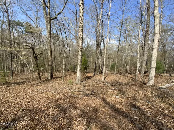 Rendezvous Road Lot # 21, Rockwood, TN 37854