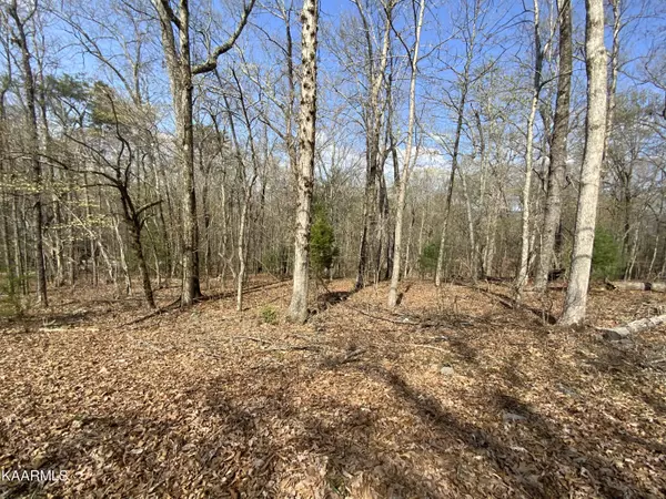 Rendezvous Road Lot #22, Rockwood, TN 37854