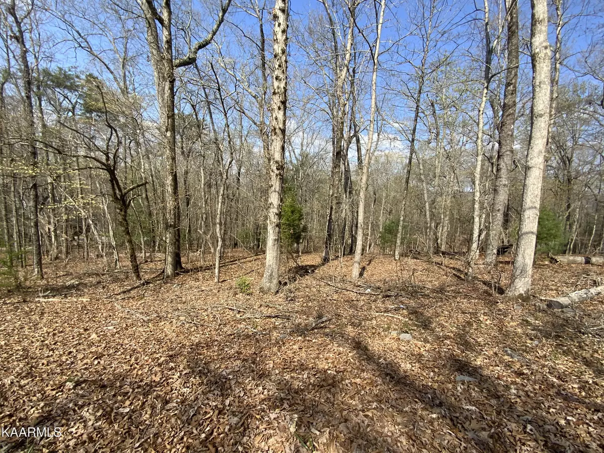 Rockwood, TN 37854,Rendezvous Road Lot #22