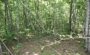 Crossville, TN 38555,Lot 22 Cumberland View DR