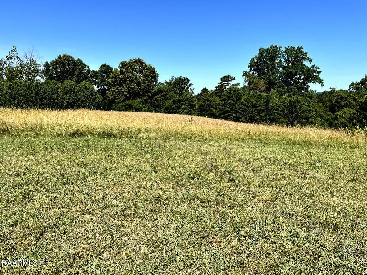 Jefferson City, TN 37760,Lot 9 Mossy Oak DR