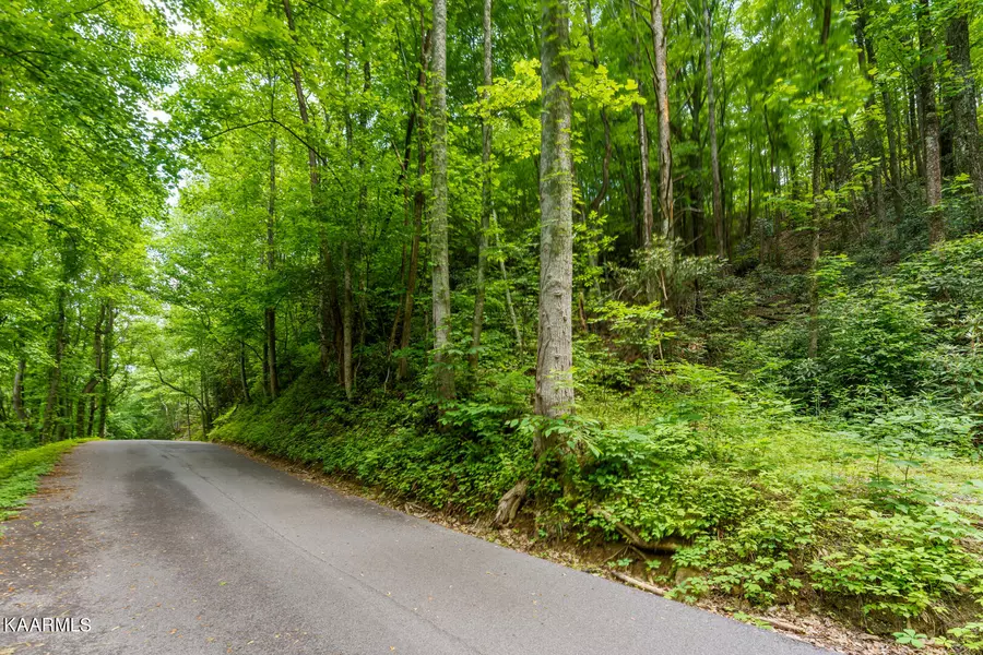 Lot 8 Zurich Rd, Gatlinburg, TN 37738